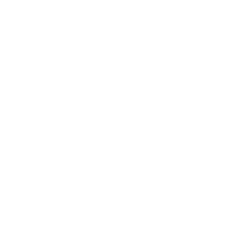 blood pressure icon